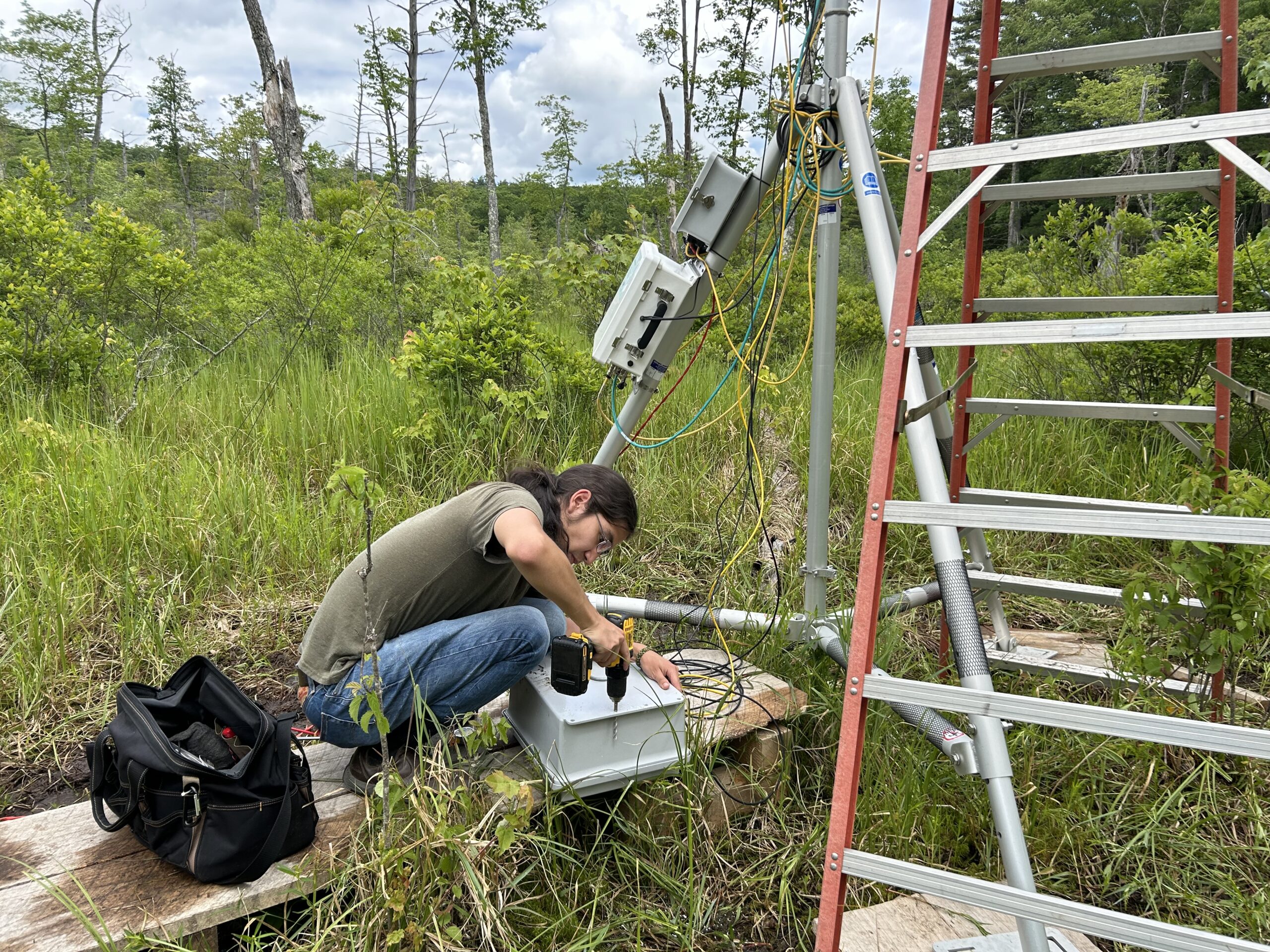 New Research from Harvard Forest Reveals How Intense Rainfall Contributes to Future Droughts