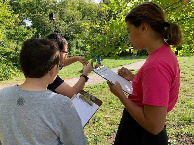 Harvard Forest Researchers & Educators Have Inspired Nearly 20 Years of High School Data Collection