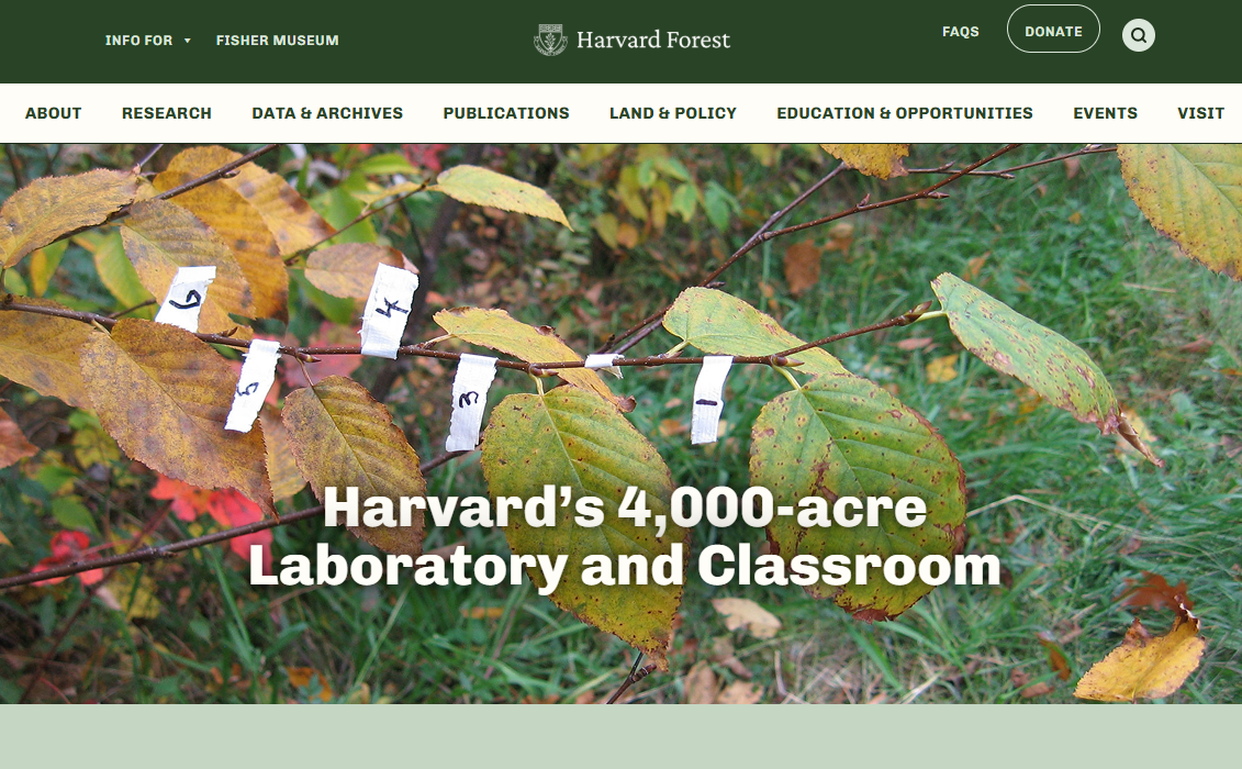 We’ve Launched our New Website!